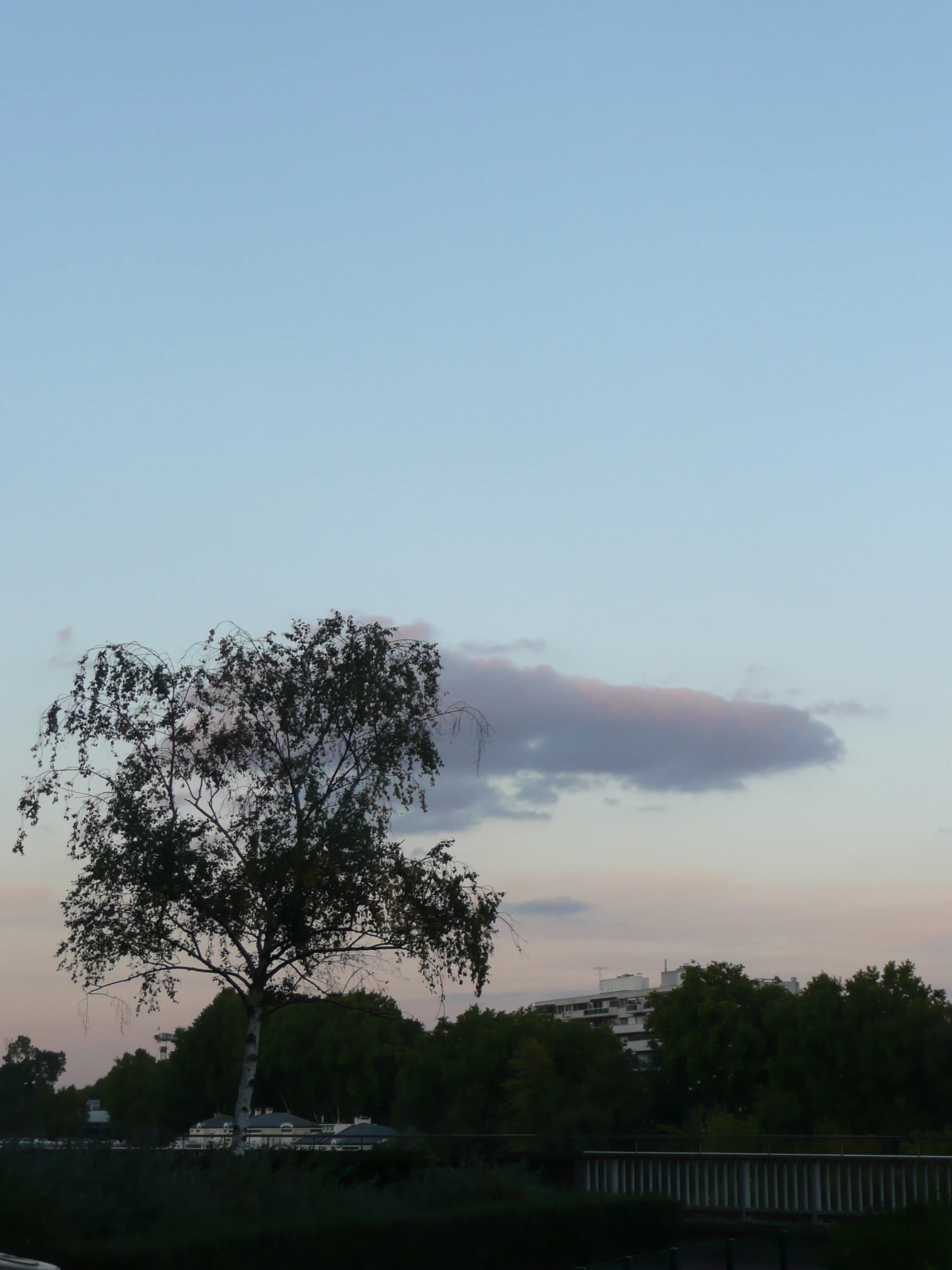 a bird that is flying through the air