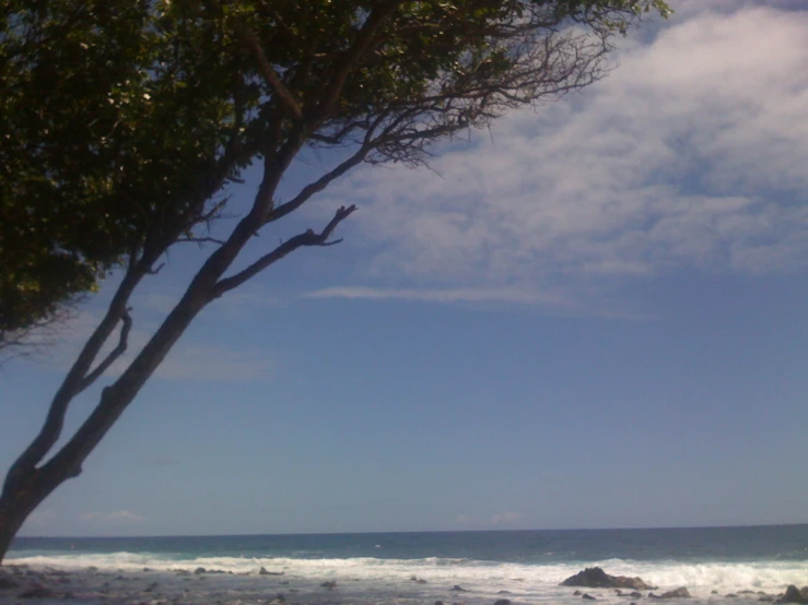 a beach with an ocean, trees and the sky