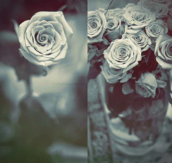 two pictures side by side, one has two vases with roses in them