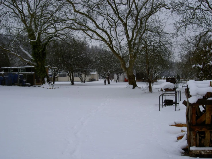 a snowy yard with trees and other things in it