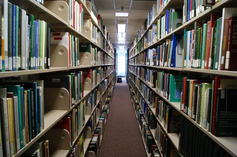 several rows of books line the shelves of a liry