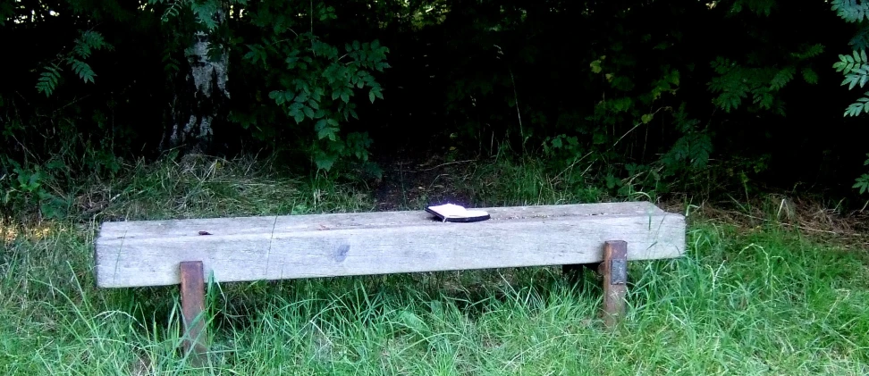 a bench with a bottle on it sitting in some grass