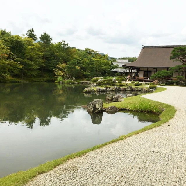 an area with rocks, bushes and water in it