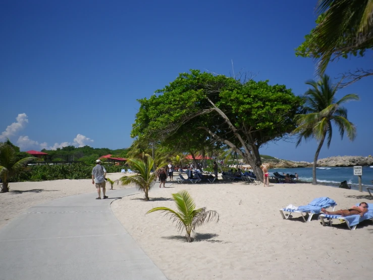 a sandy beach with trees and people walking