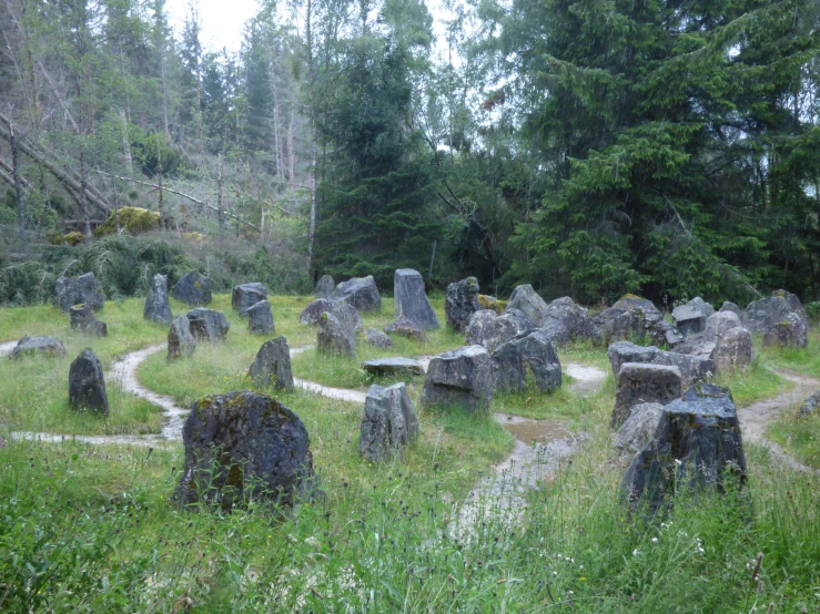 a grassy area with several rocks on it