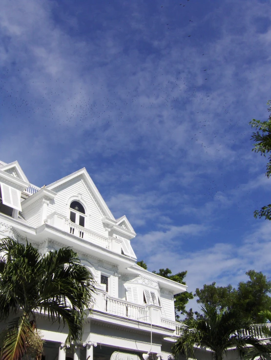 a po taken from the ground of a white building with several windows