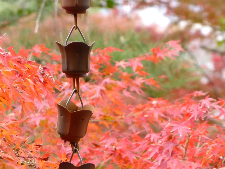 a wind chime hanging from a tree