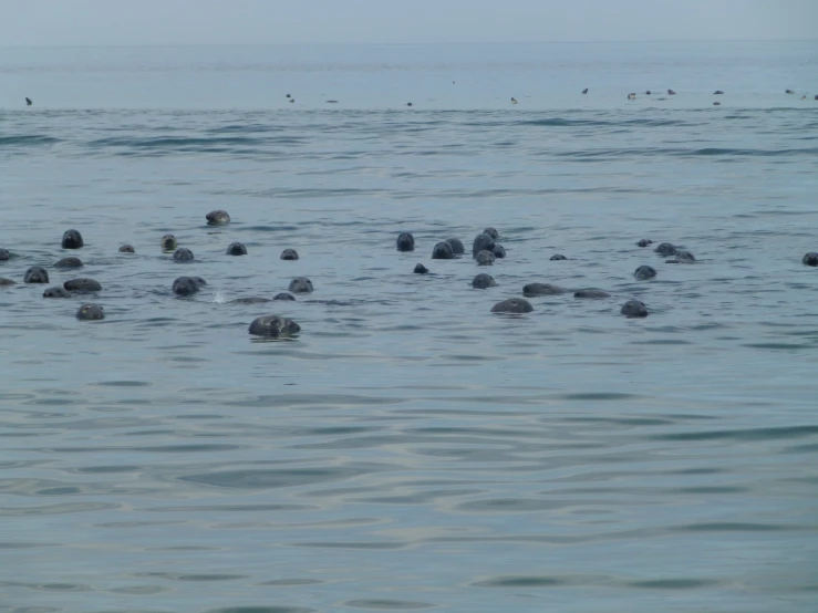 many rocks are in the water and there are many on the horizon