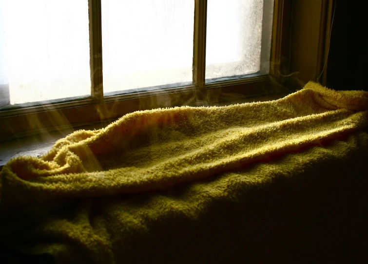 bright sunlight streams through the window onto the blanket