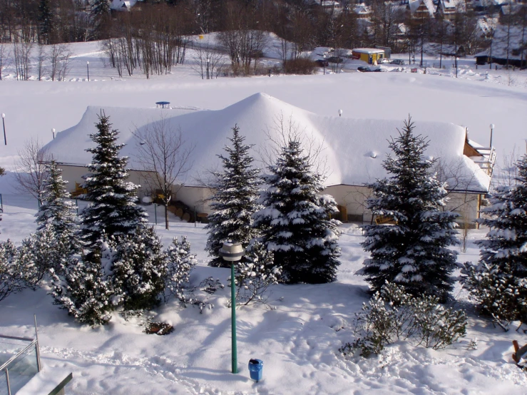 an aerial view of several trees in the snow