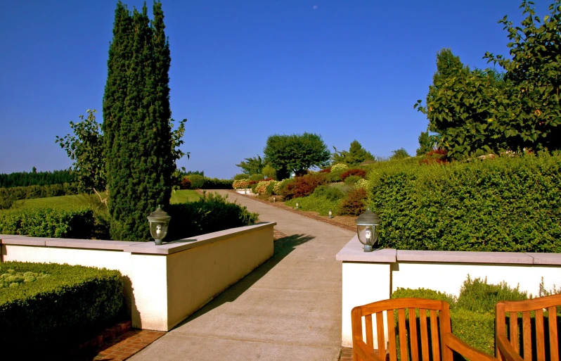 two benches with plants and trees in the background