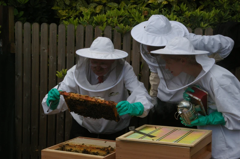 three beekeepers are wearing protective clothing while holding a piece of a hive box