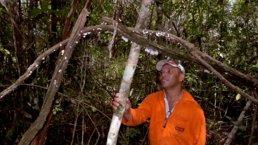 a man wearing an orange jacket holding a stick in a forest