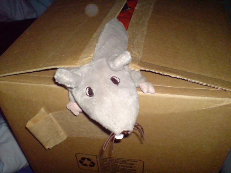 a white toy mouse in a cardboard box