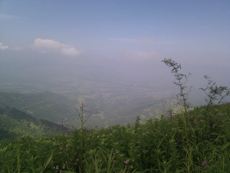 green fields and hills, with fog in the sky