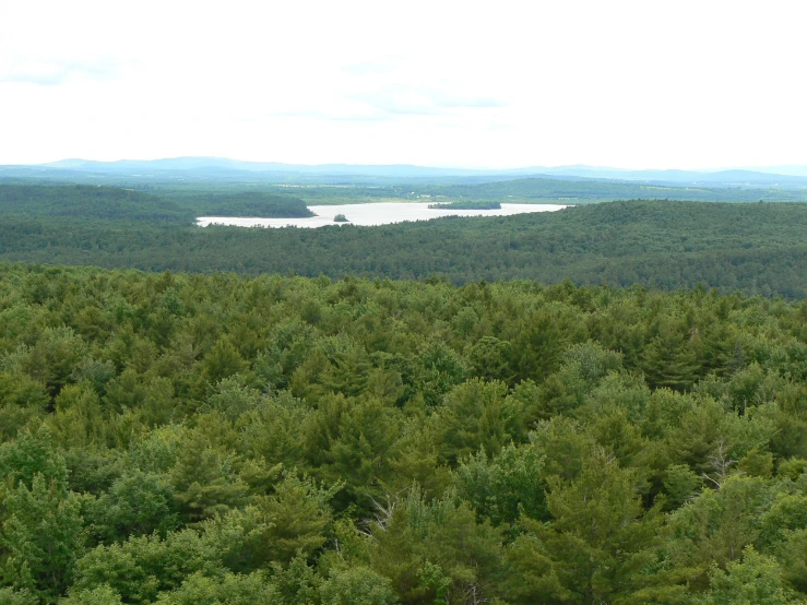 a view from high up in the mountains of trees with lakes and mountains in the distance