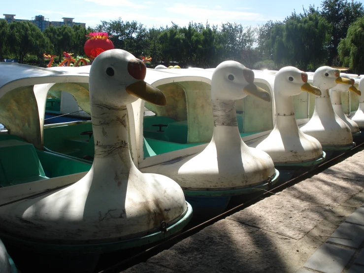 ducks are lined up next to boats on a pond