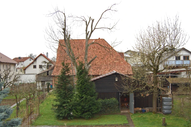 a large tree in front of the black house