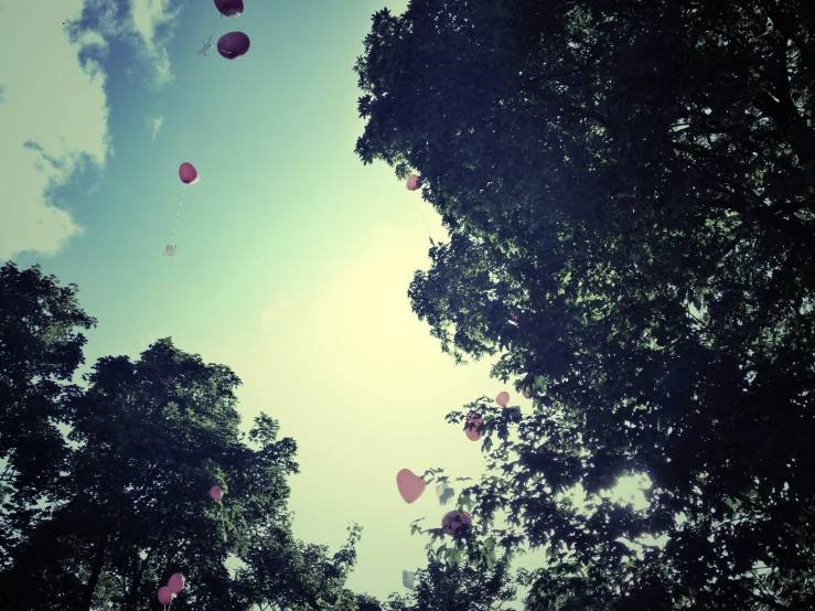 pink balloons floating around the sky and trees