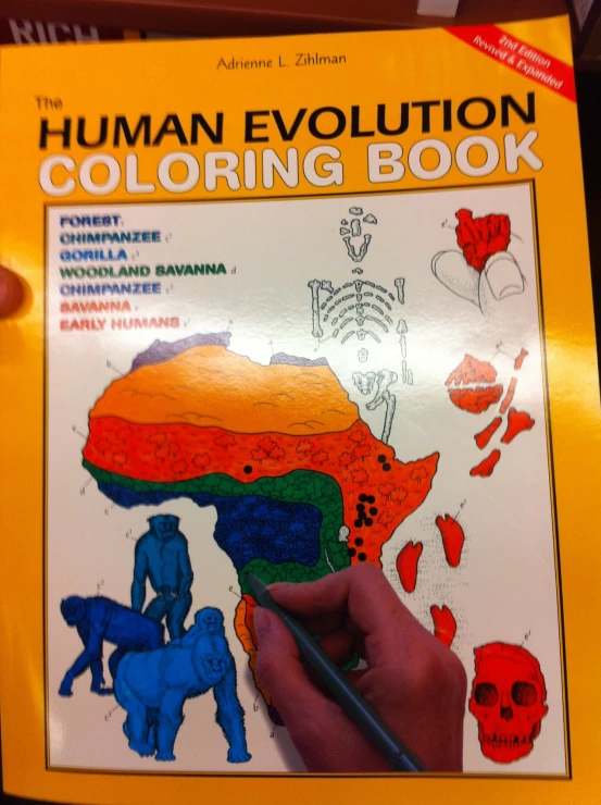 someone is doing a drawing activity with the human evolution coloring book