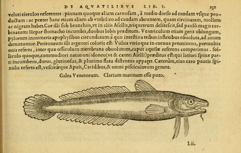 the title page of an old book with fish
