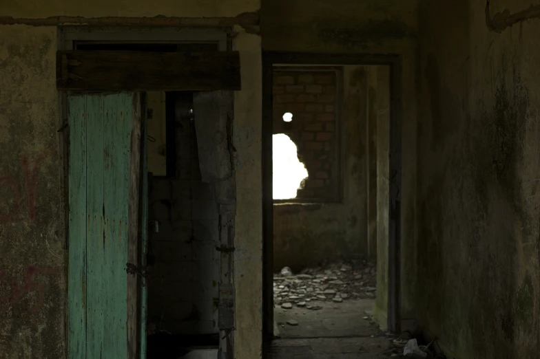 a room with a cat in the distance near door