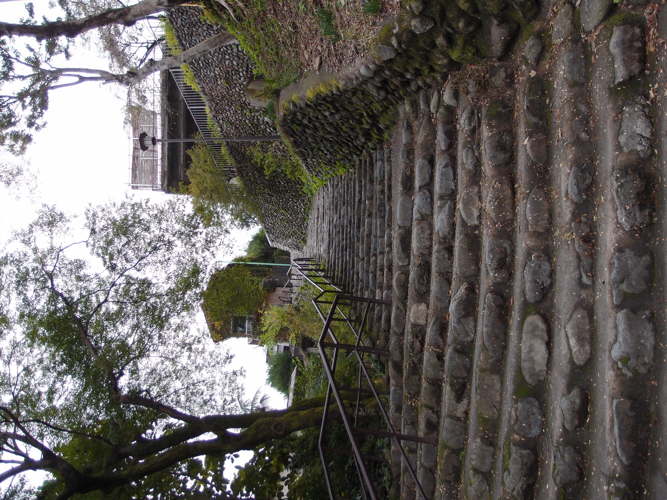 an up and coming set of stairs in front of trees