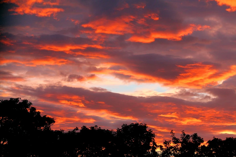 colorful sunset, red clouds and silhouettes of trees