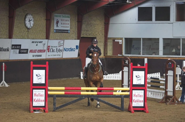 a man riding a horse while holding the reins