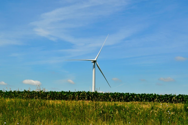 a wind turbine is seen in the background in this po