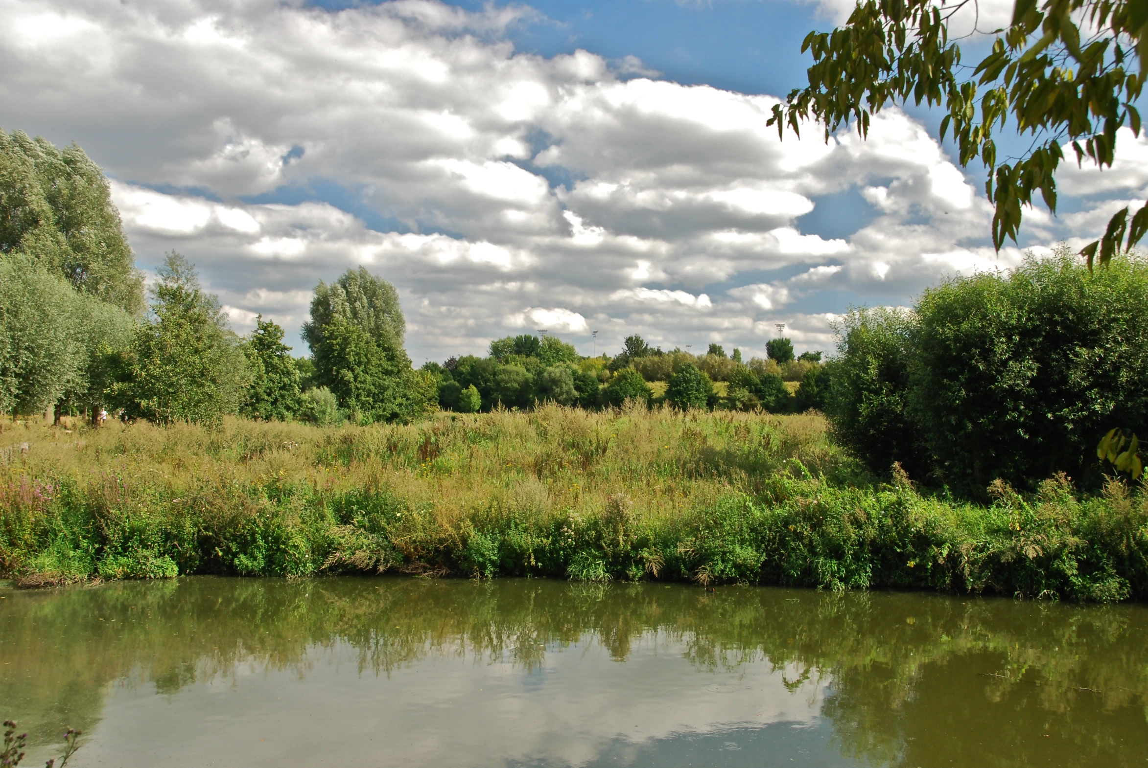 a stream running through lush green countryside under a blue sky