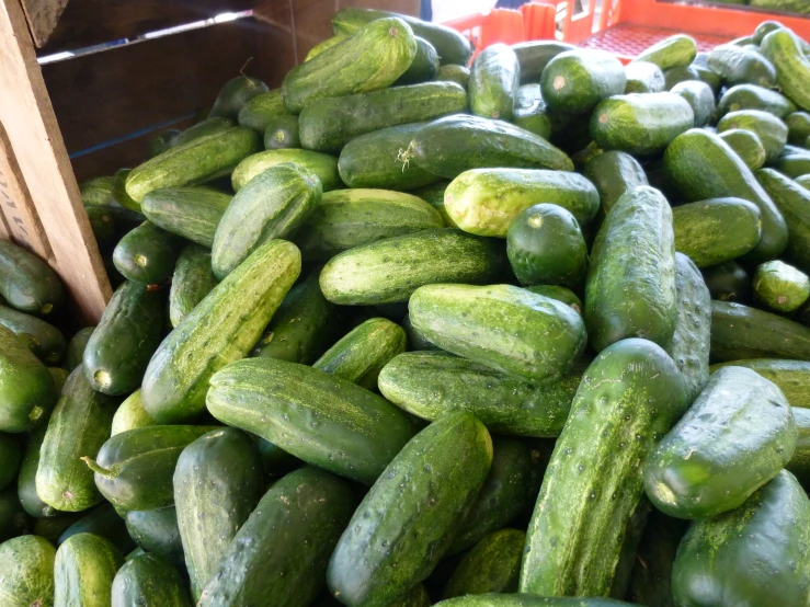 cucumbers are piled in rows together on display