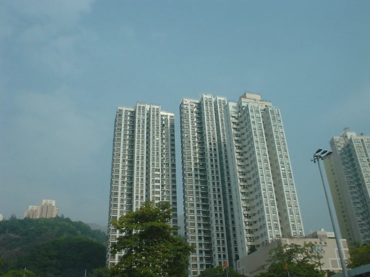 the two tall buildings have windows and are surrounded by trees