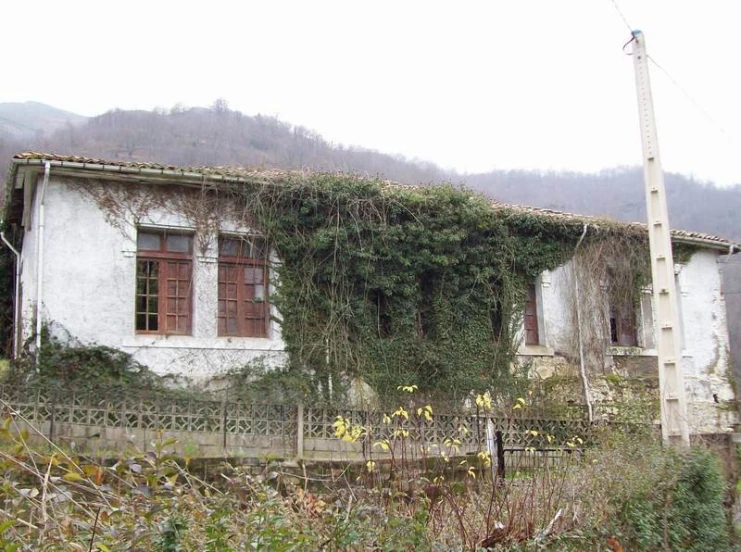 a house is covered by vines and vines