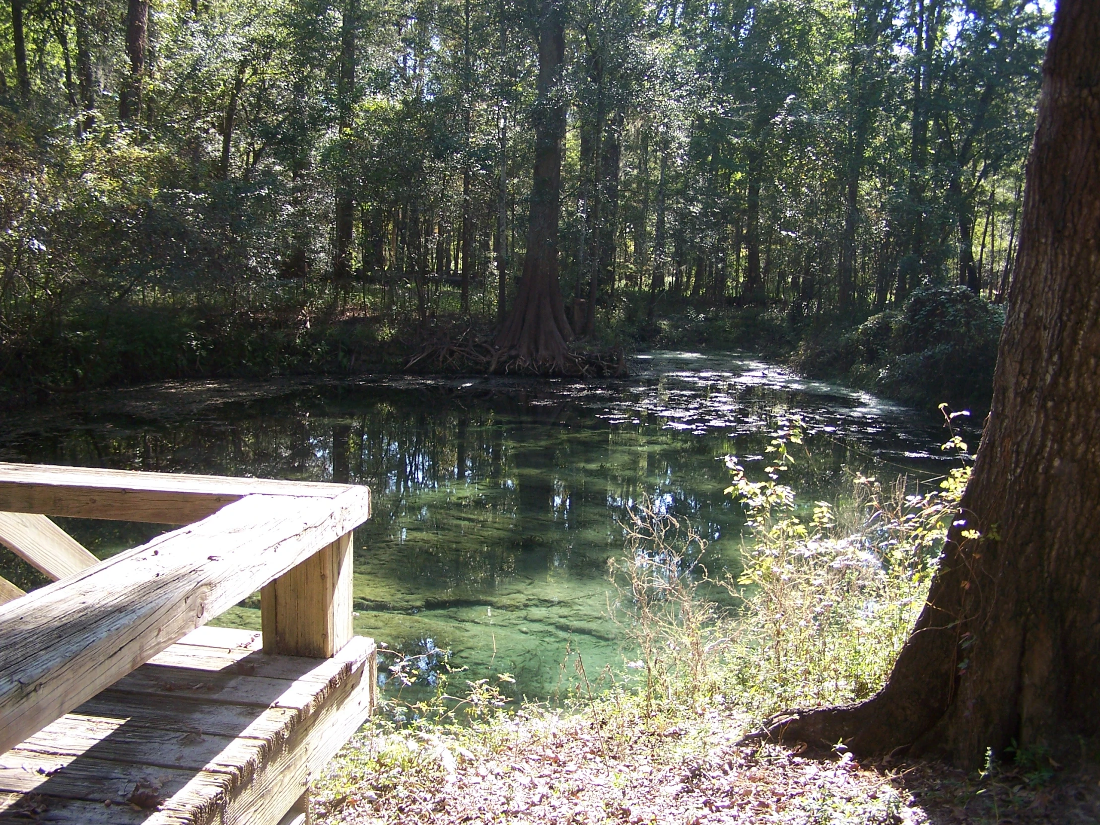 a bench sitting near the edge of a lake