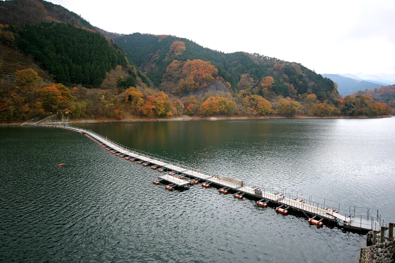 the long dock is in a small body of water