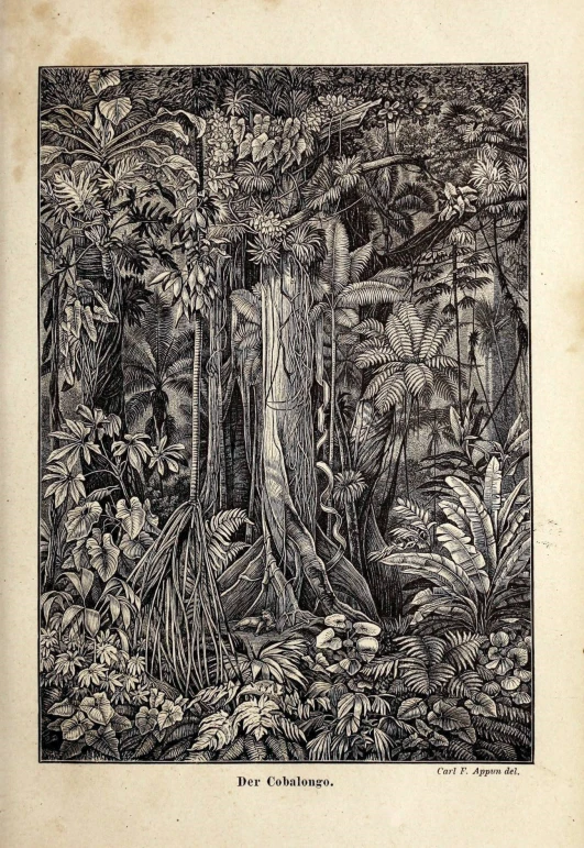 a print showing a jungle scene with a lot of plants