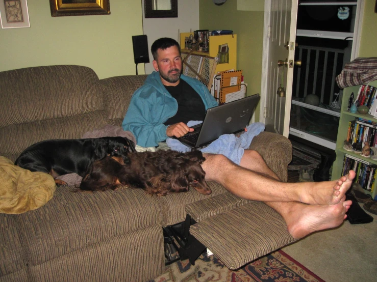 a man on the couch with three dogs while he works