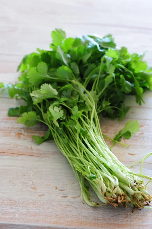 fresh herbs are laying on a table together