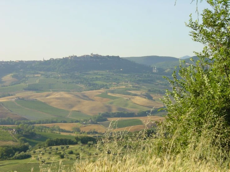 view from hillside of rolling countryside with trees in foreground