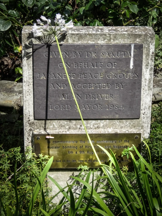 a sign and a flower in a plant