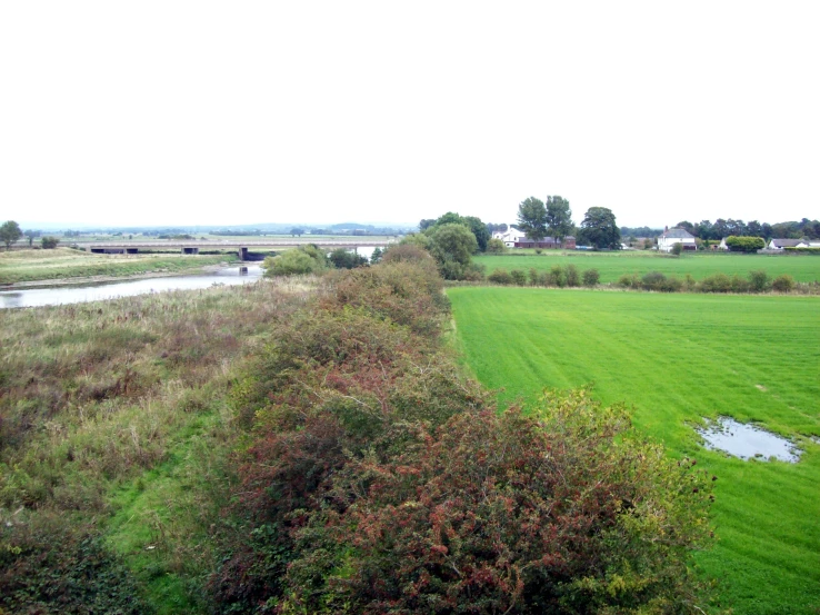 this is a grassy, river bank near a large field