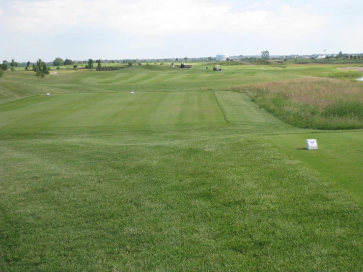 a field with several green and white golf carts and trees