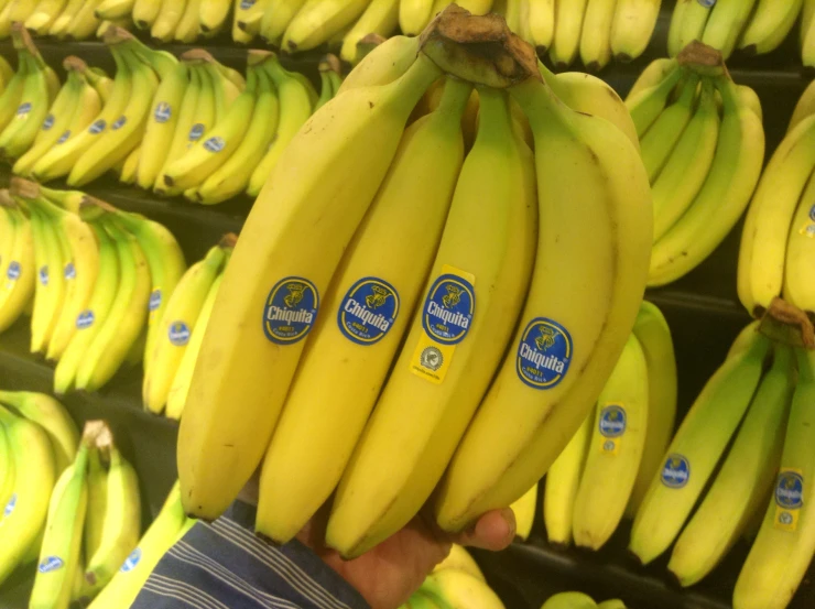 bananas for sale are displayed in a fruit stand