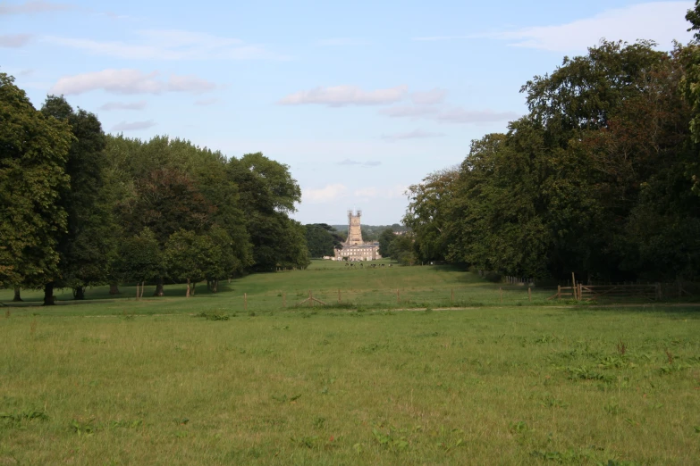 trees line the roadside as a grassy field sits empty