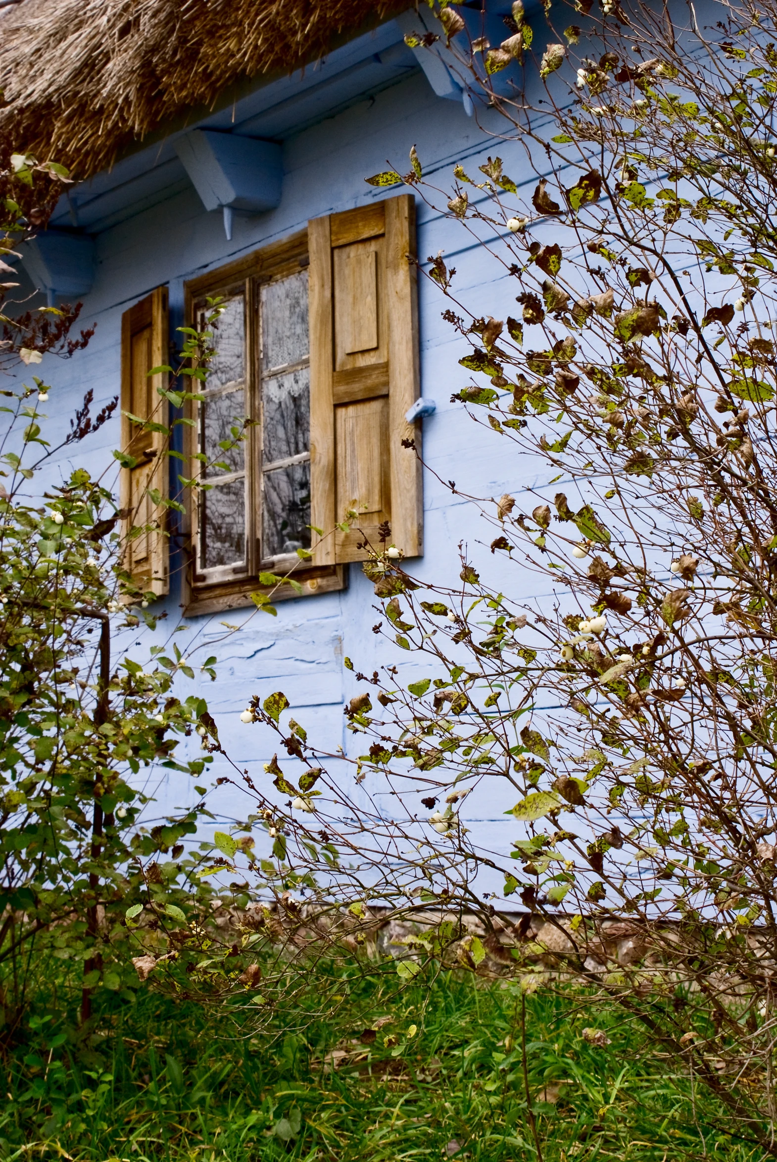 a little blue cottage with grass thatched roof