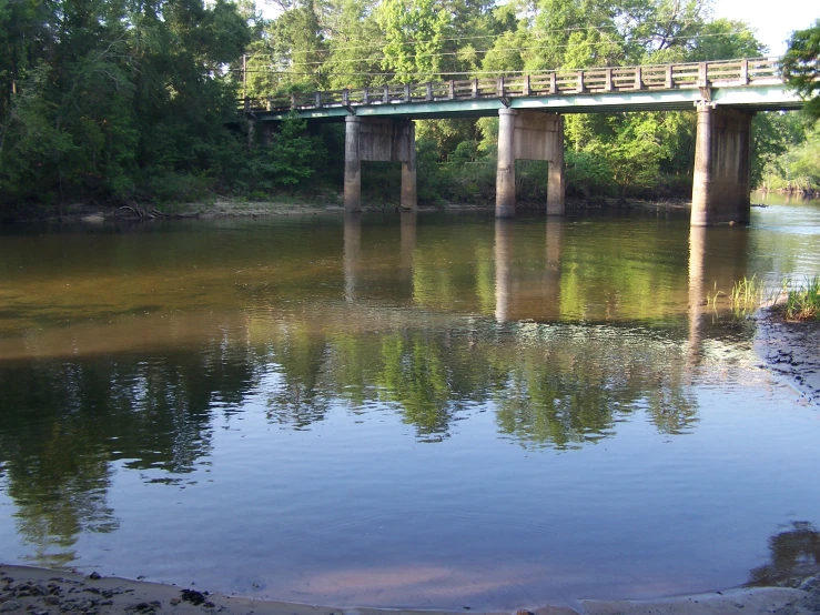 a bridge over water with trees and bushes surrounding it