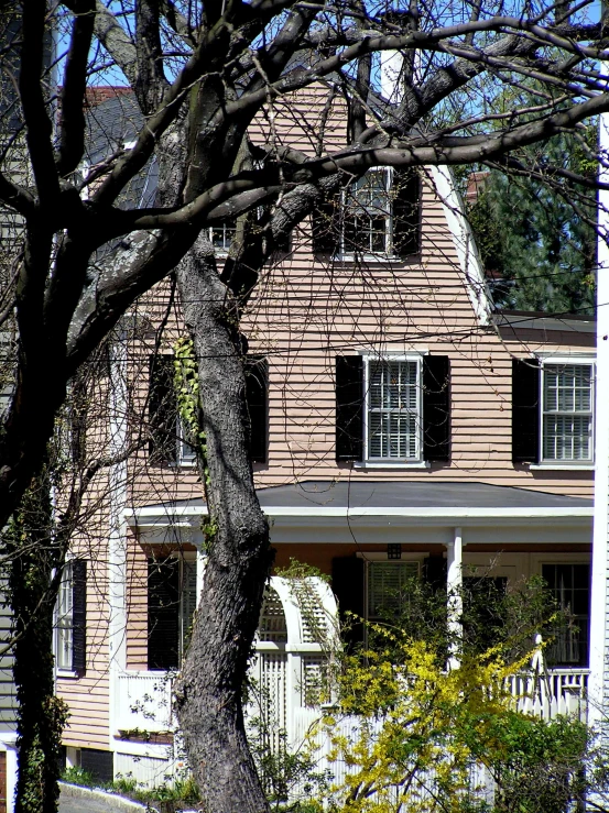 a house sitting next to a very tall tree