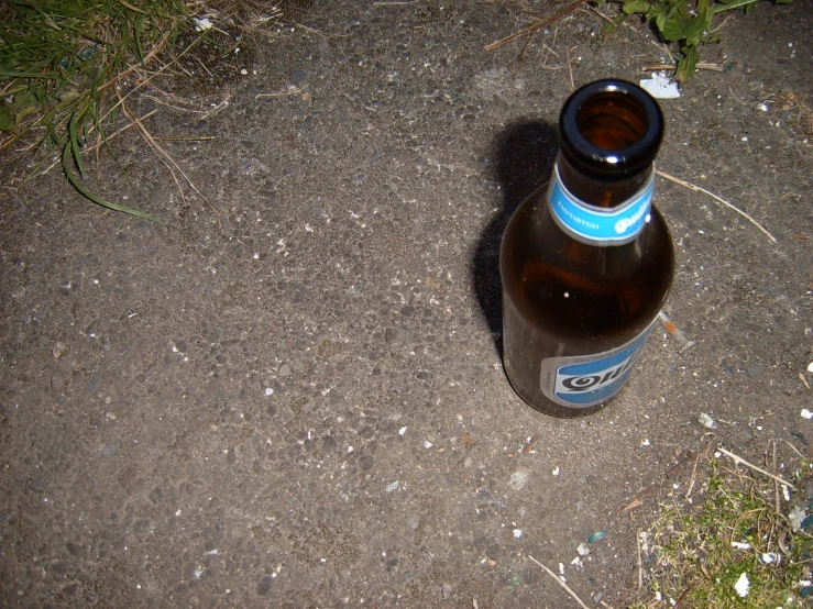 a beer bottle is lying in the middle of the ground