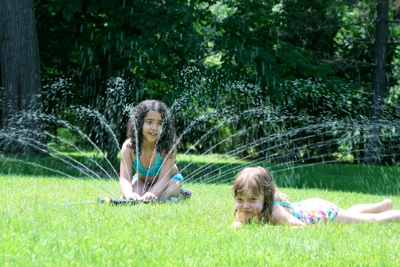 two s sitting in the grass in the sunlight